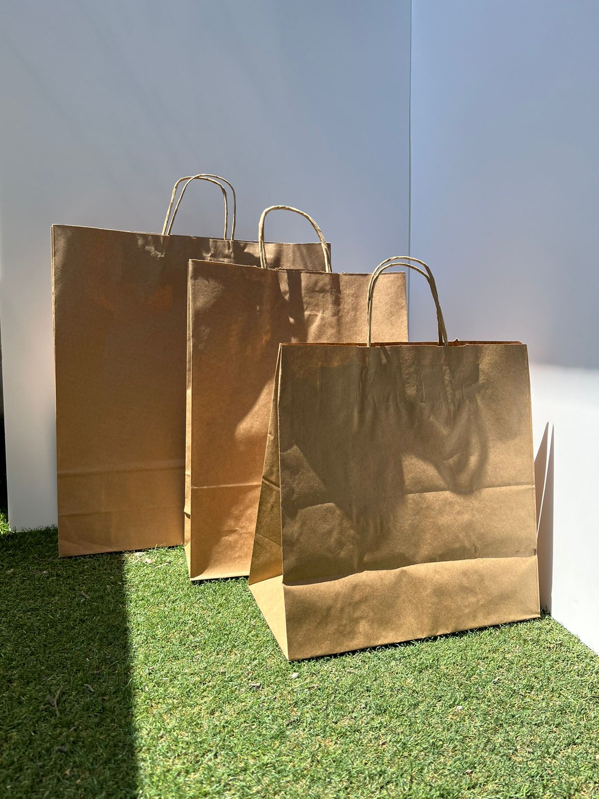 Craft Bags 28x28x15