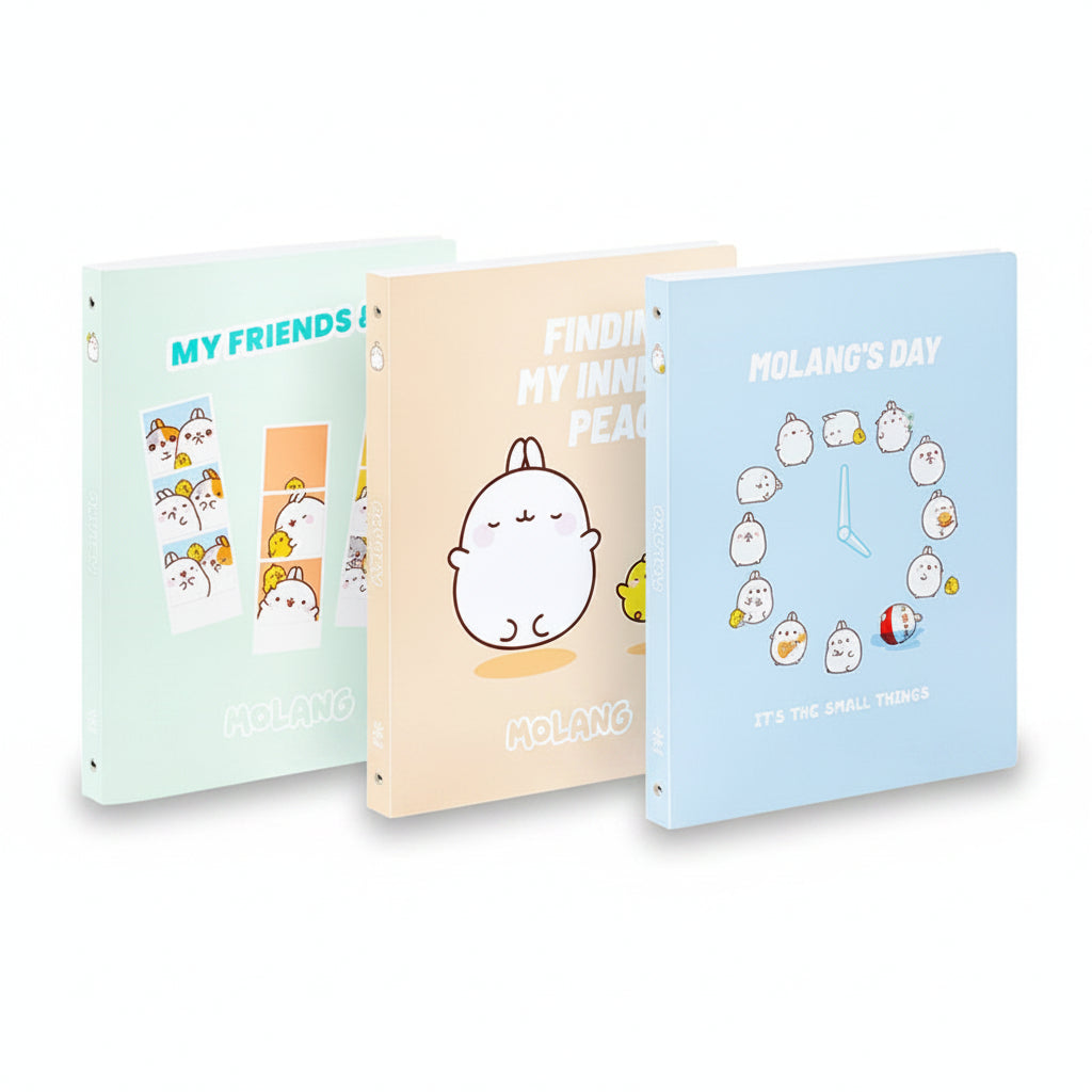 Ring Binder A4 4 Rings Spine 2.5cm Polypropylene Molang