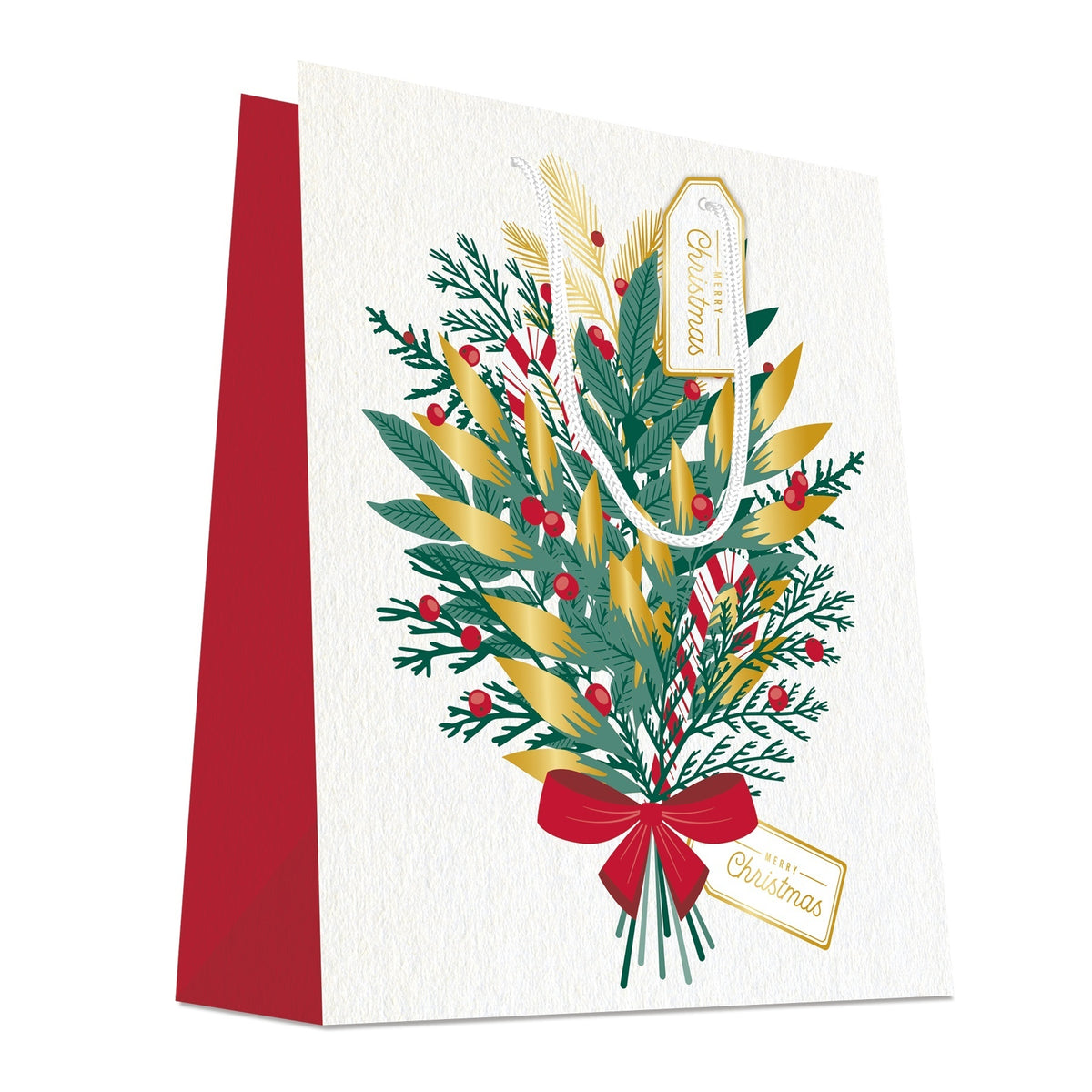 Gift Bags 26X13X32Cm