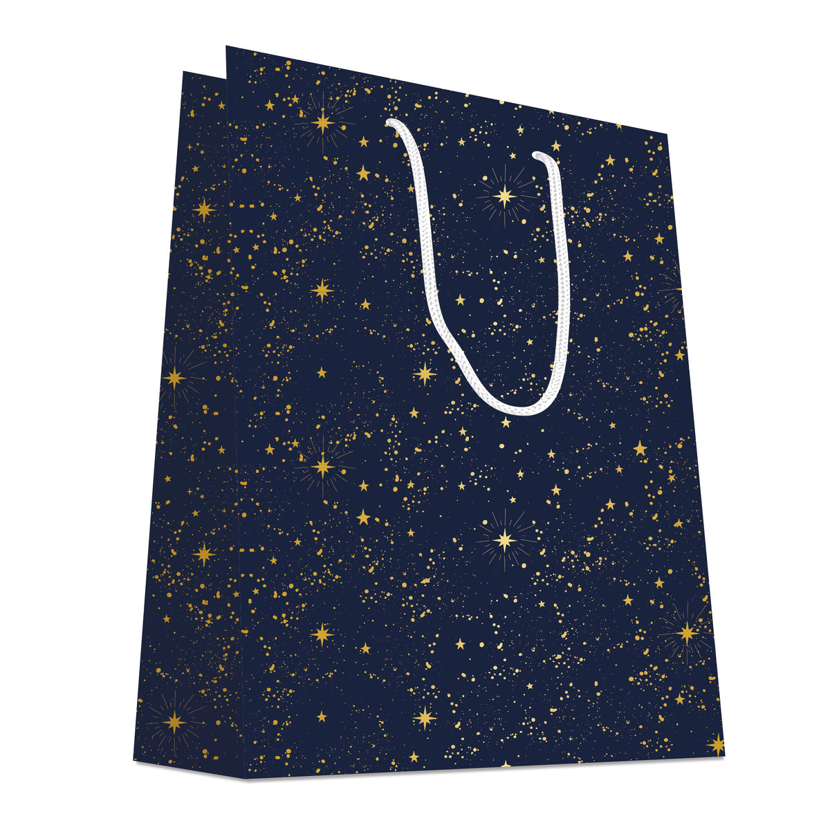 Gift Bags 18X10X23Cm