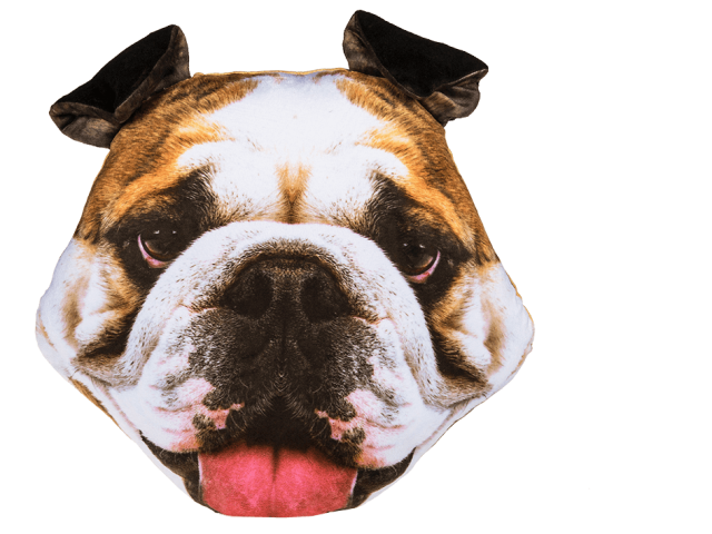 Decoration Cushion Bulldog 40Cm