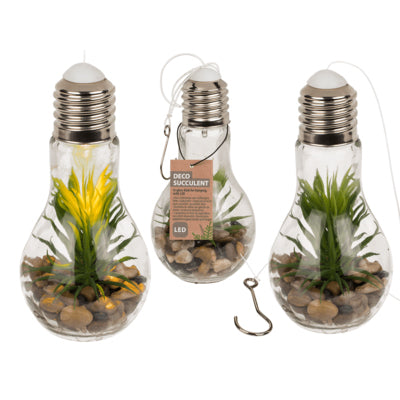 Deco Succulent In Wooden Pot W/Plant Pattern &amp; Led