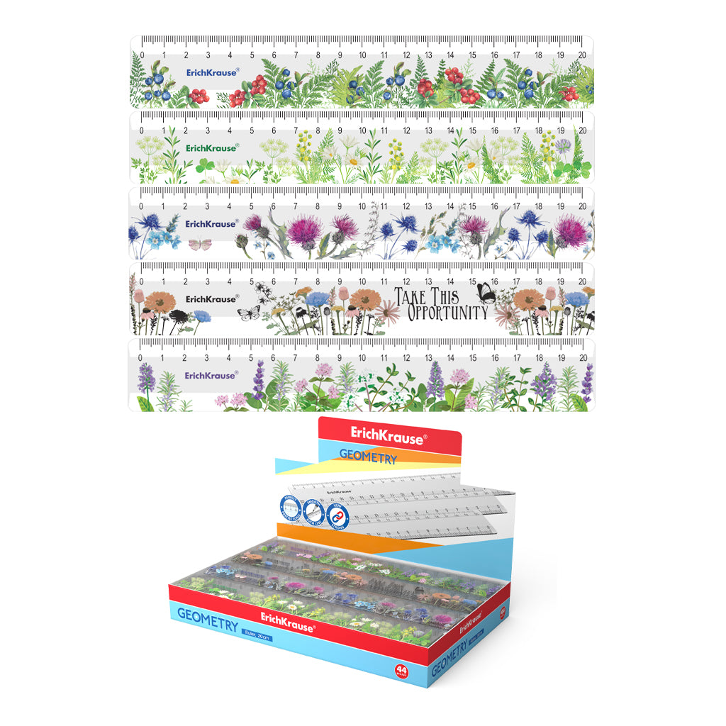 Plastic Ruler 20 cm Assorted In Display Box