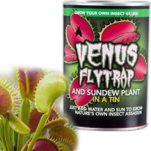 Gyo Venus Fly Trap Plant