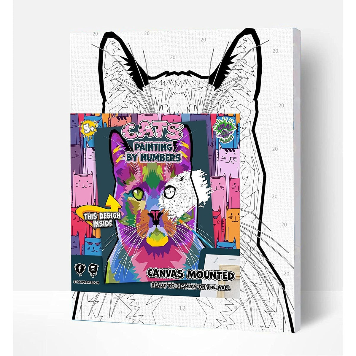 Paint By Numbers Cat