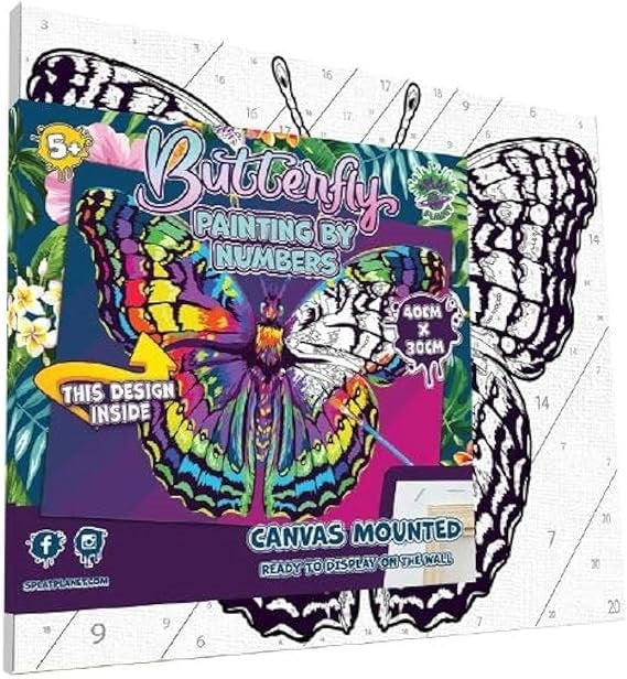 Paint by Numbers Butterfly