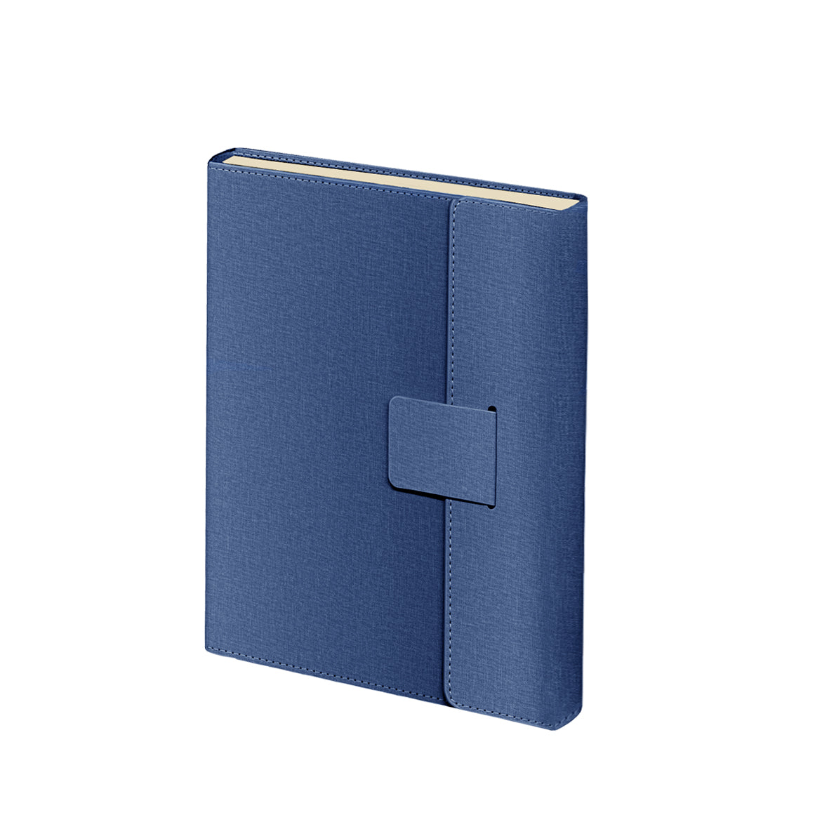 Daily Diary Pu Cover Magnet Line B5 Blue /2025