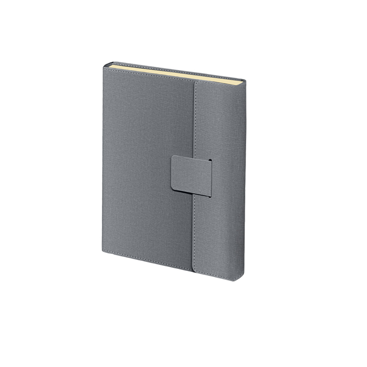 Daily Diary Pu Cover Magnet Line B5 Grey /2025