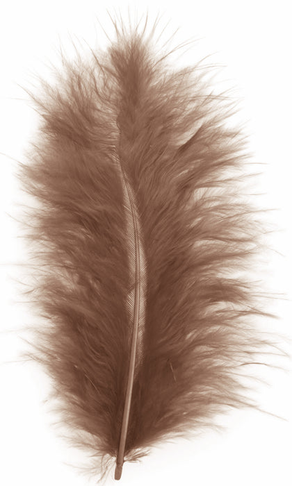Ca-152
Brown Feathers - 20 Pcs