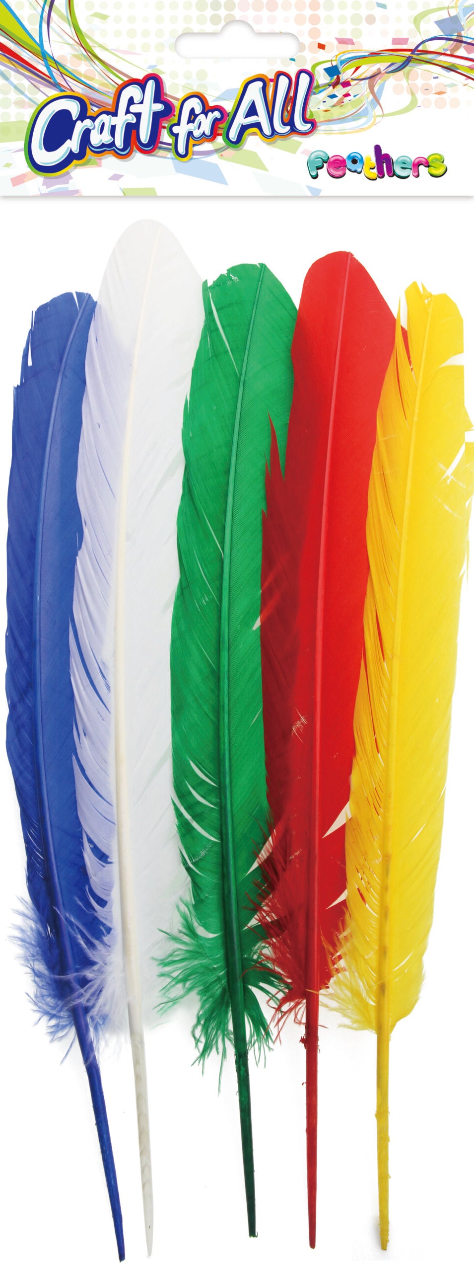 Ca-162
Assorted Turkey Feather 5Pcs