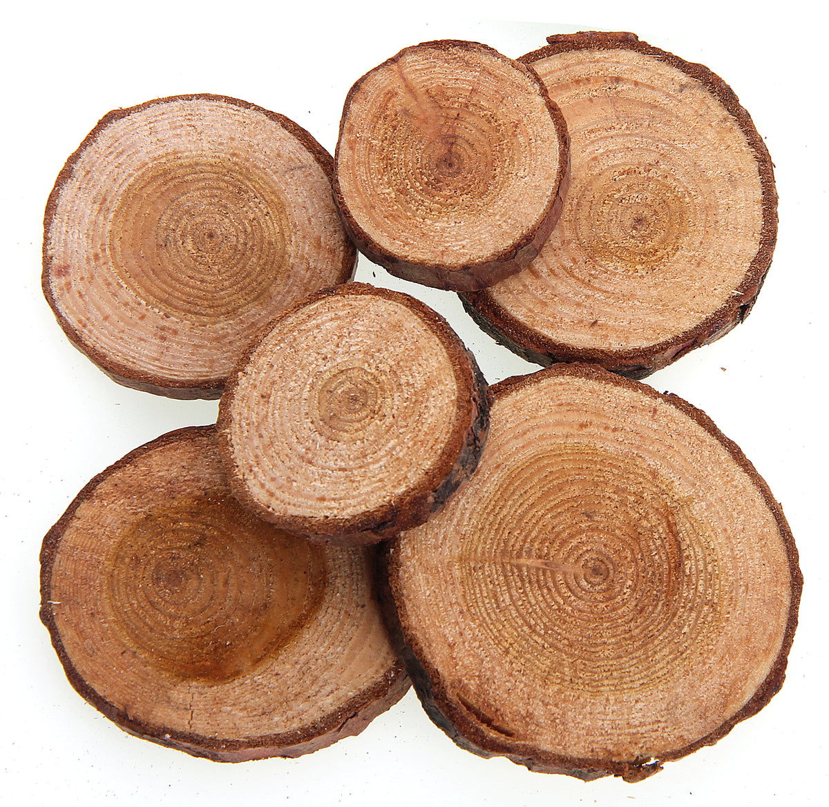 Branch Offcuts 40G