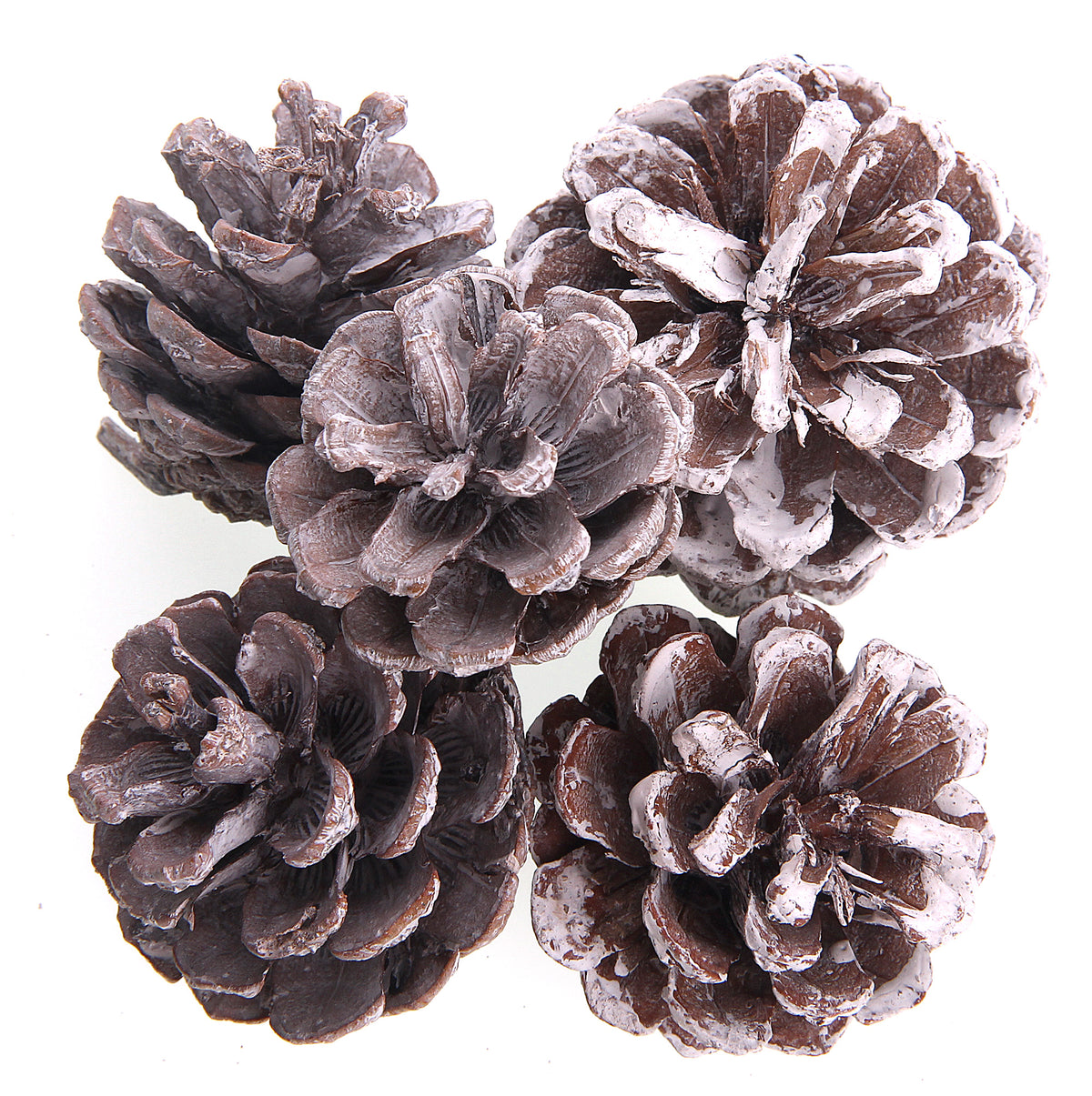 Pine Cones 50G, Siz 4-6Cm, 4Pcs