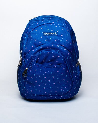 Backpack 4 Compartment Size 44X29X19Cm Printed Design