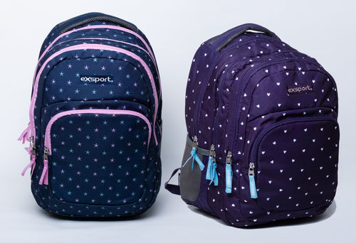 Backpack 4 Compartment Sterling Size 47X33X16Cm