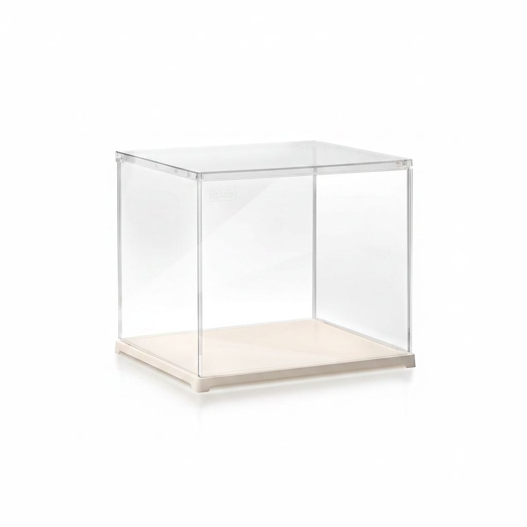 Display Box
