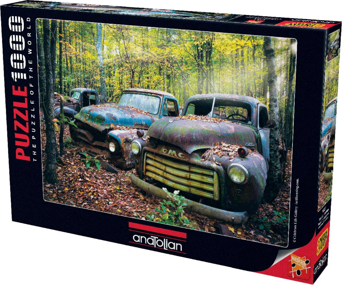 Puzzle Remaining Of The Past 1000Pcs