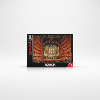 Puzzle Argentina Theatre 3000Pcs Size 85x120Cm