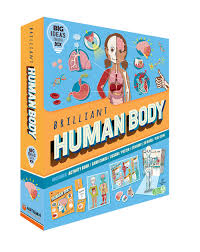 Box Brilliant Human Body
