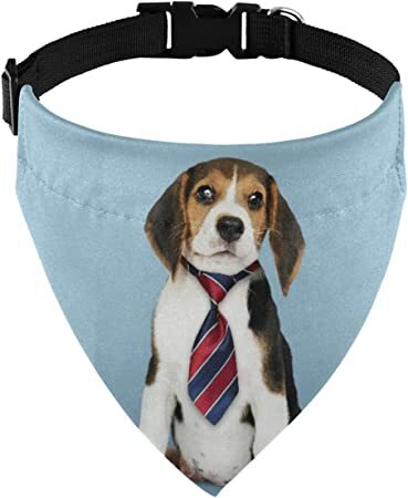 Print ON Dog Scarf | QTY 1-5