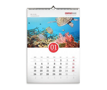 Print On Calendar With Hanger 13 Pages A3 |QTY 1-5