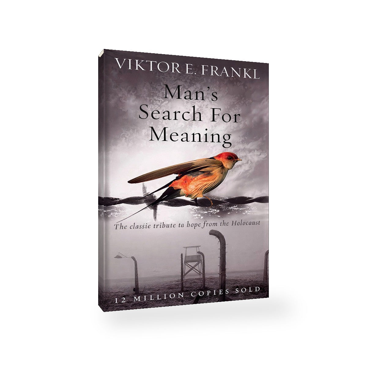 Man's Search for Meaning