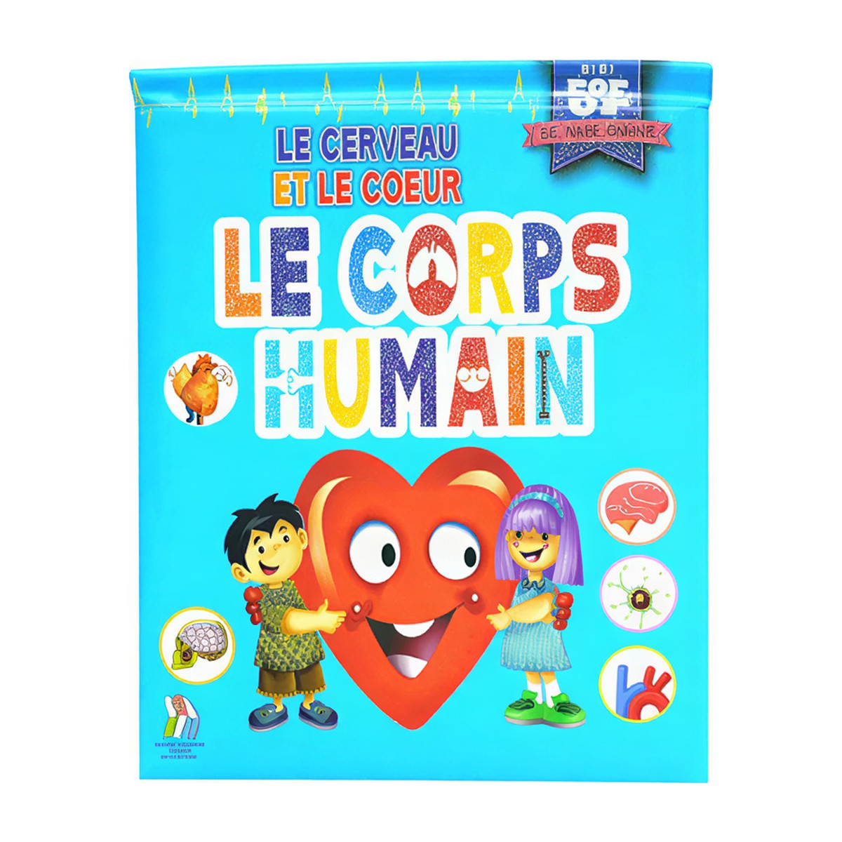 Pop Up - Le Corps Humain - Le Cerveau Et Le Coeur