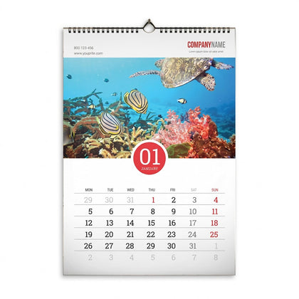 Print On Calendar With Hanger 13 Pages A3